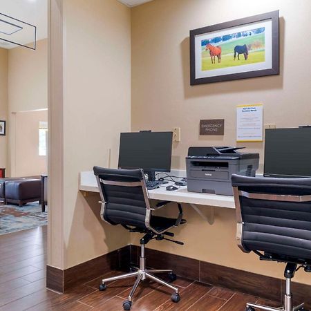 לקסינגטון Comfort Suites Keeneland מראה חיצוני תמונה