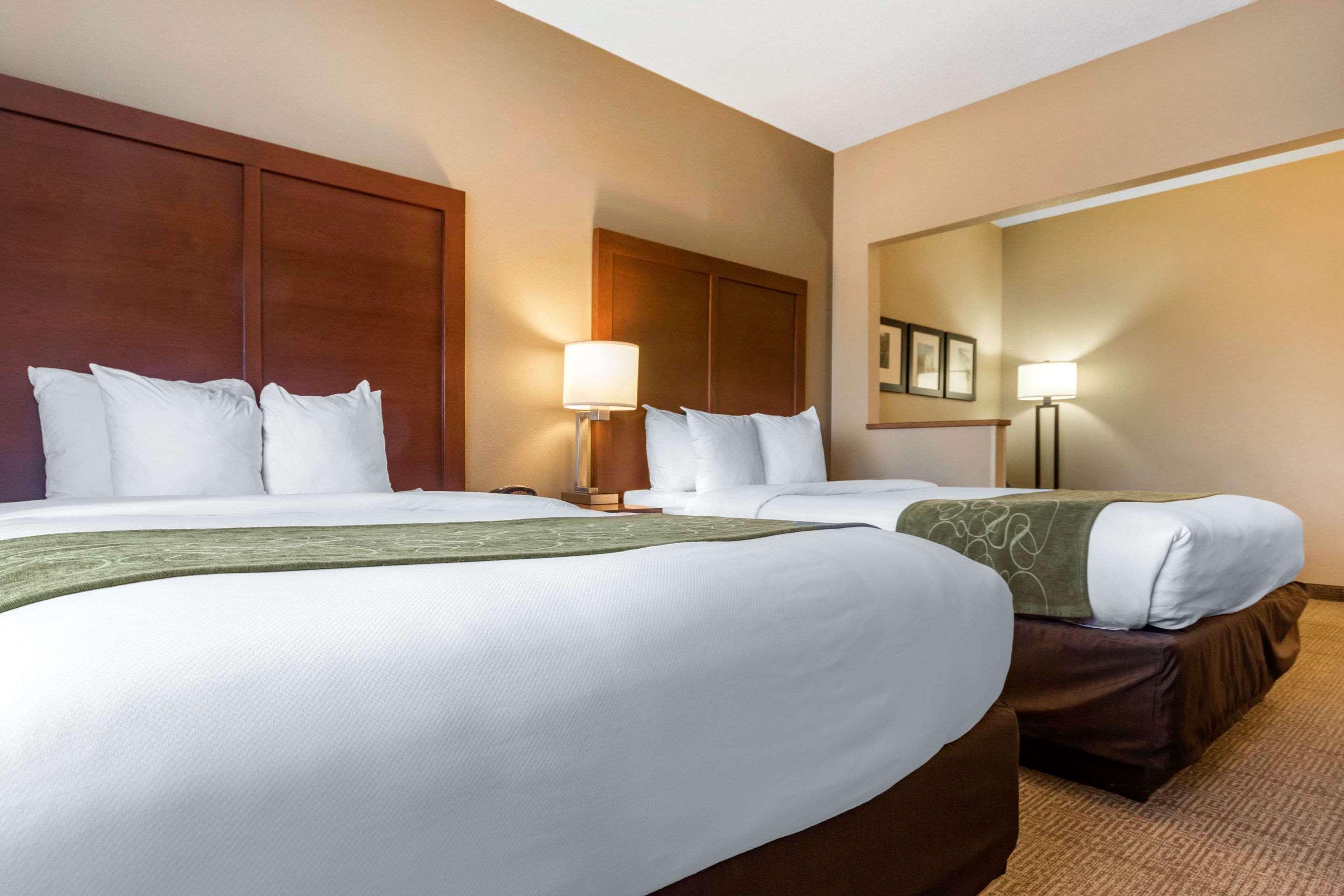 לקסינגטון Comfort Suites Keeneland מראה חיצוני תמונה