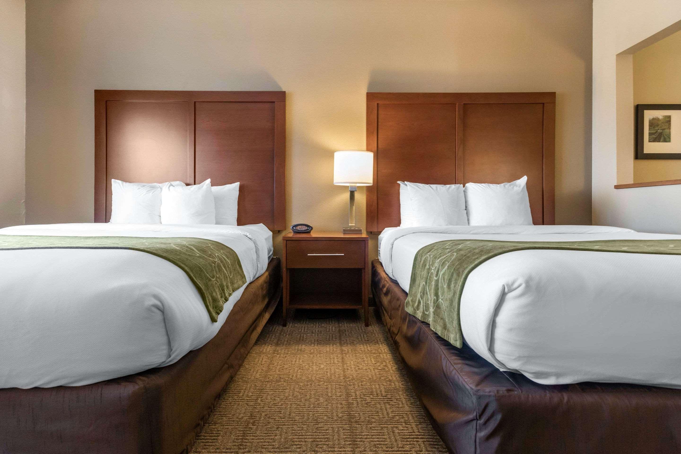 לקסינגטון Comfort Suites Keeneland מראה חיצוני תמונה