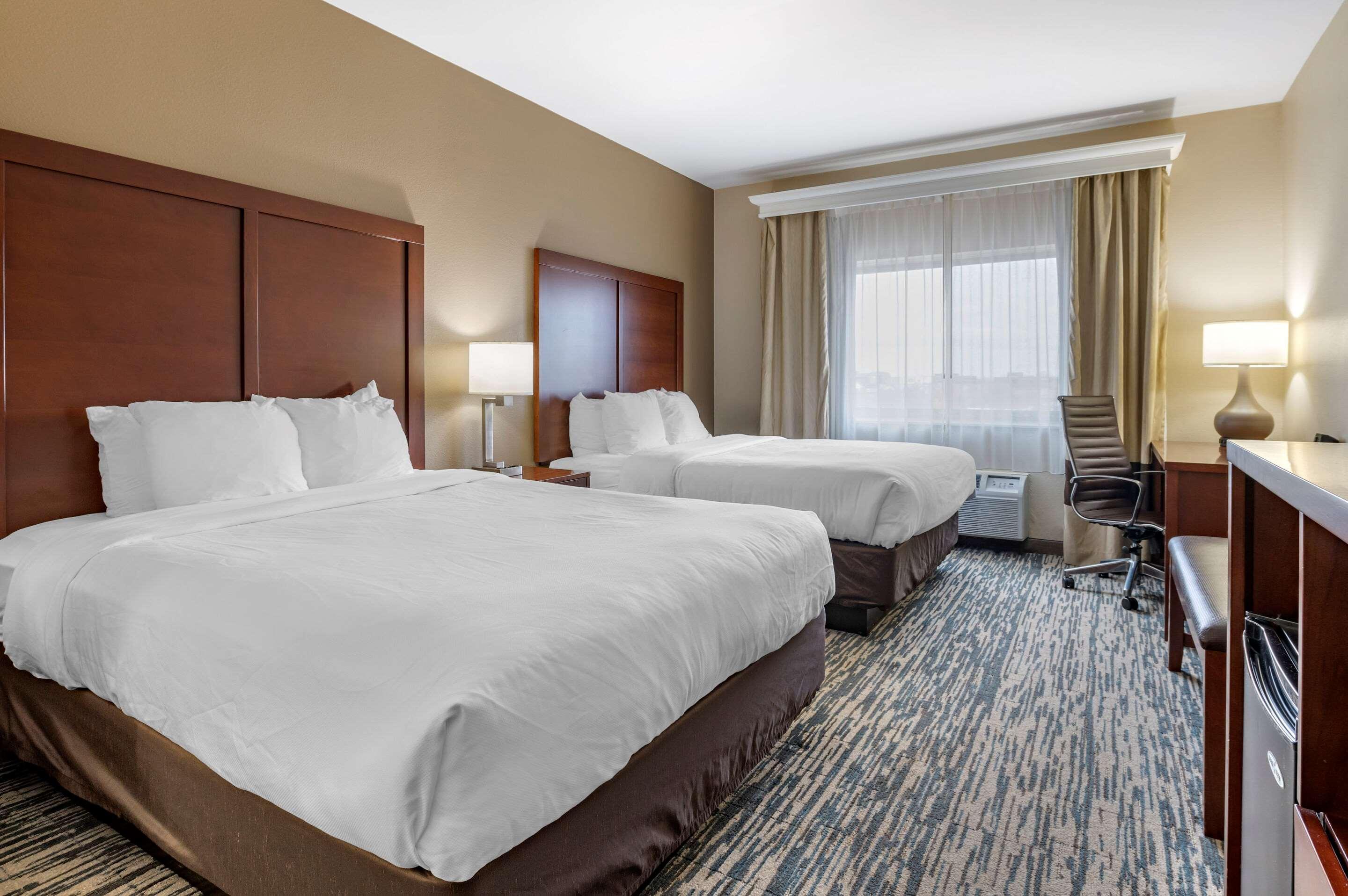 לקסינגטון Comfort Suites Keeneland מראה חיצוני תמונה