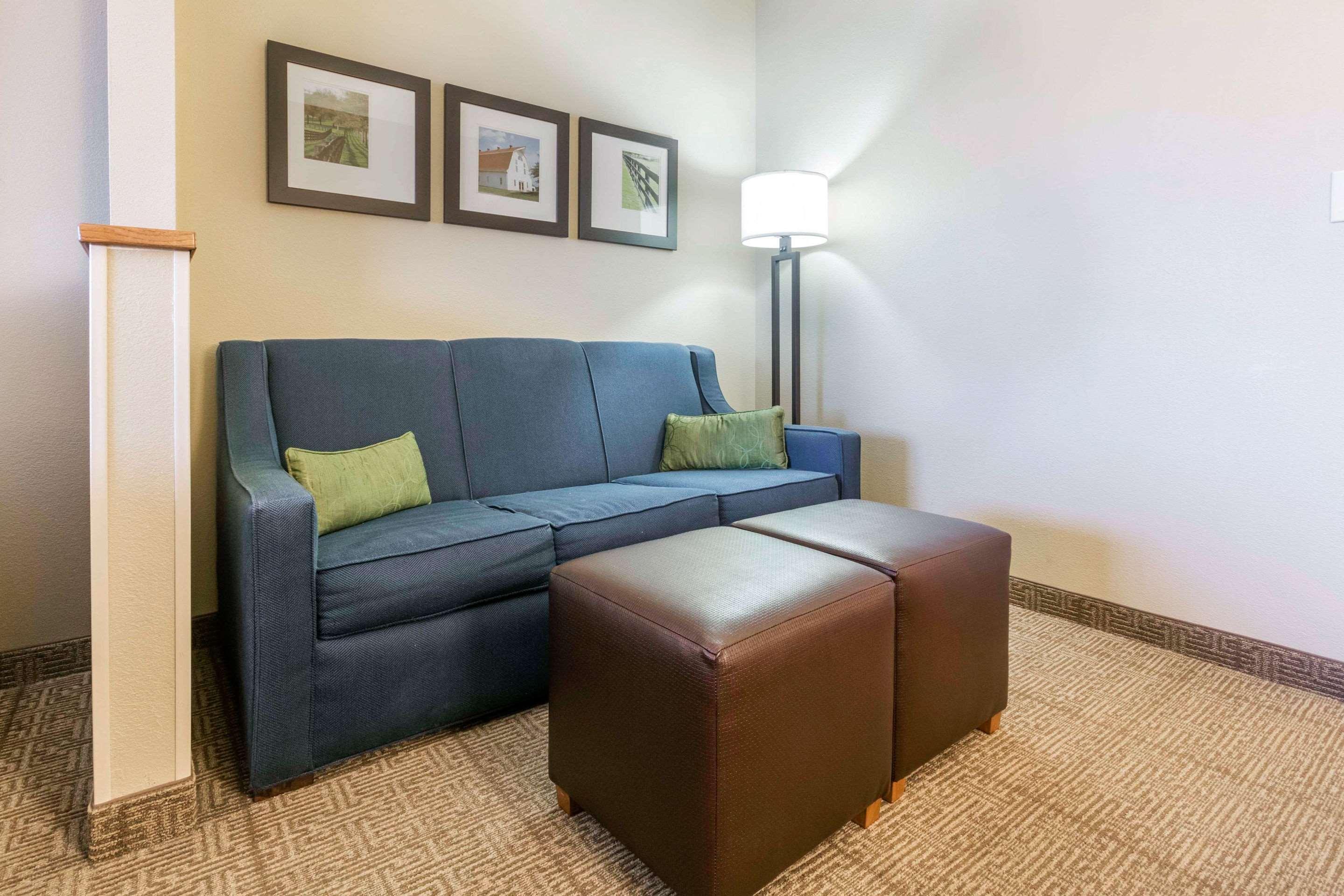 לקסינגטון Comfort Suites Keeneland מראה חיצוני תמונה