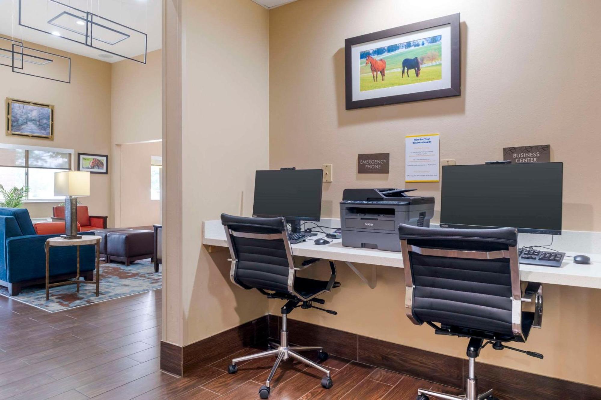 לקסינגטון Comfort Suites Keeneland מראה חיצוני תמונה