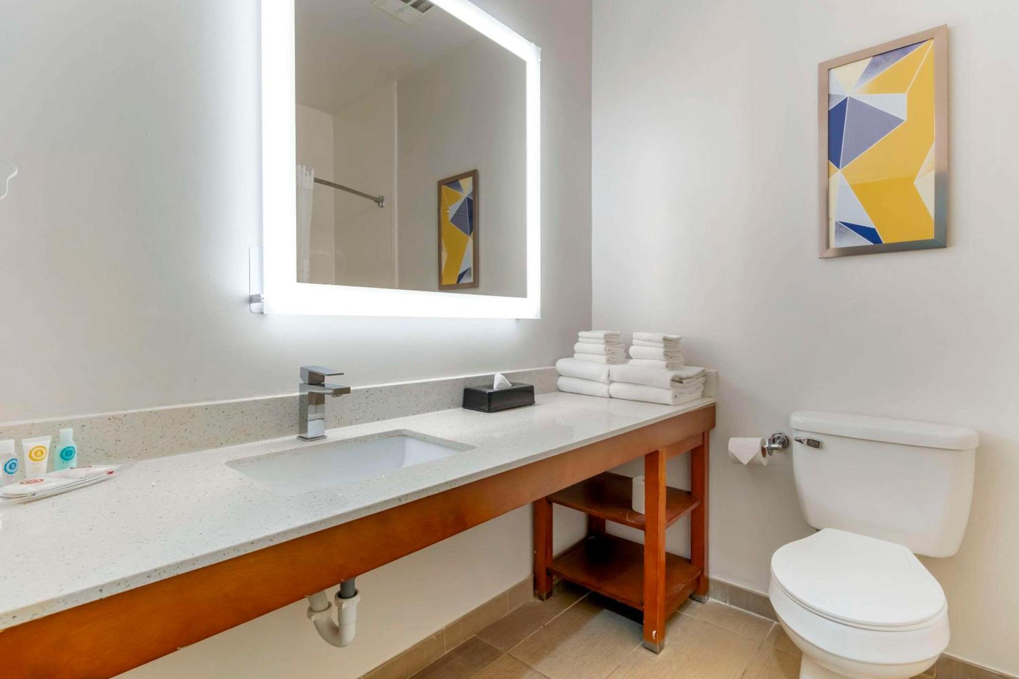 לקסינגטון Comfort Suites Keeneland מראה חיצוני תמונה